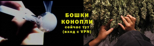 ECSTASY Богородск