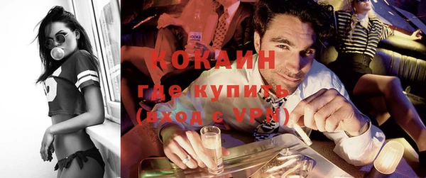 дживик Богородицк