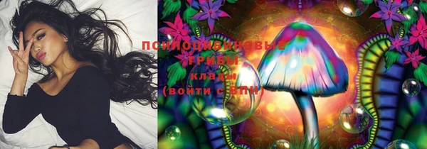 соль ск Белокуриха
