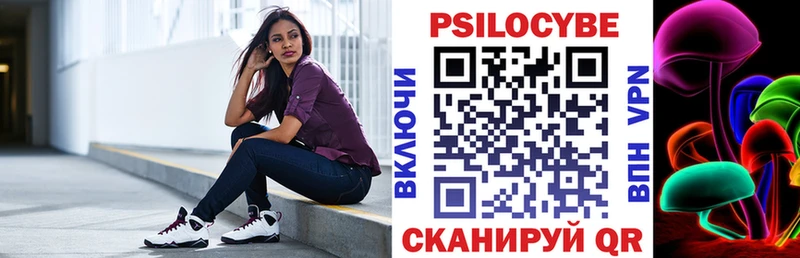 Псилоцибиновые грибы Psilocybe  Гай 