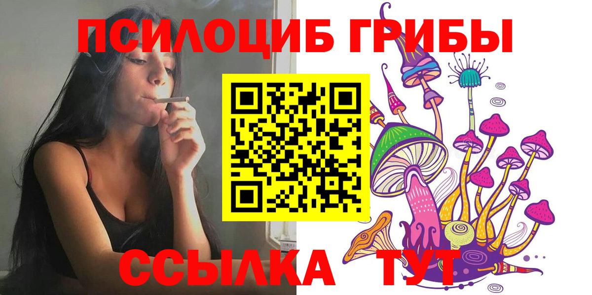 Галлюциногенные грибы Psilocybine cubensis Гай